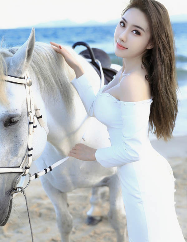 新加坡伴游预约